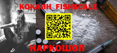 индика Партизанск