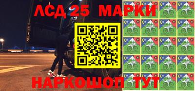 индика Партизанск