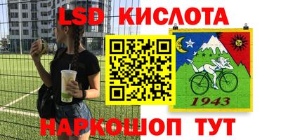 индика Партизанск