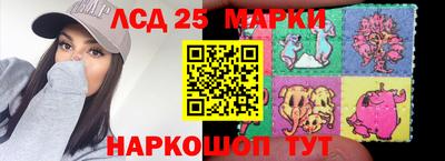 индика Партизанск