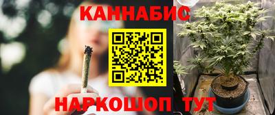 индика Партизанск