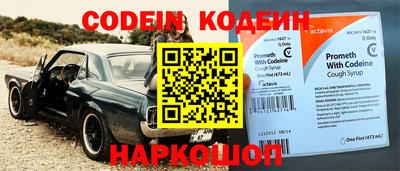индика Партизанск