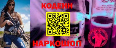 индика Партизанск