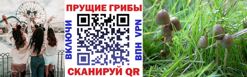 Псилоцибиновые грибы мухоморы  Евпатория 