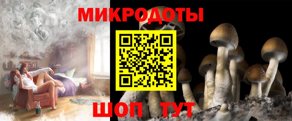 Галлюциногенные грибы мицелий  Галлюциногенные грибы Psilocybine cubensis  Вход с VPN  Евпатория 