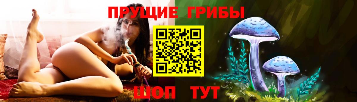 Галлюциногенные грибы Cubensis Евпатория