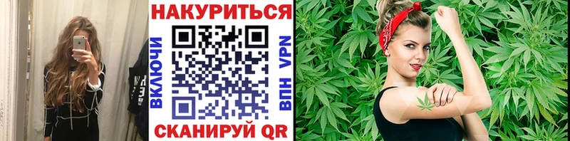 Конопля семена  купить  сайты  Евпатория 